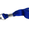 Blue Lanyard