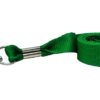 Green Lanyard