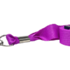 Purple Lanyard