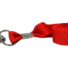 Red Lanyard