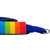 Rainbow Lanyard Sleeve